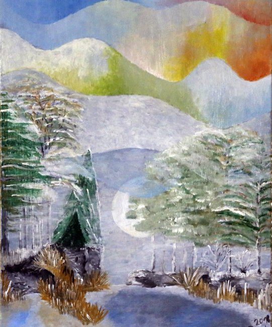 Der Wald im Winter mit Polarlicht